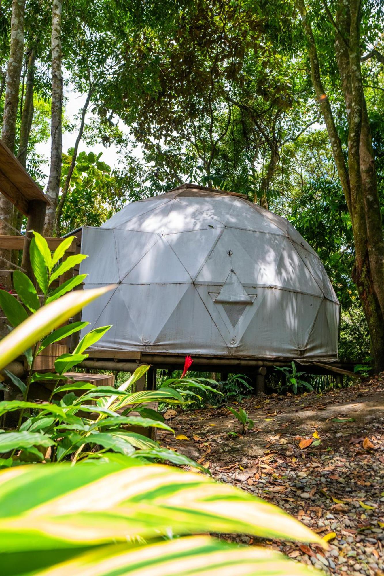 Tente de luxe La Chagra Vip - Glamping En